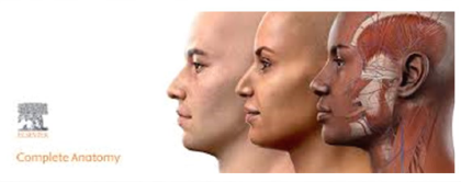 complete anatomy
